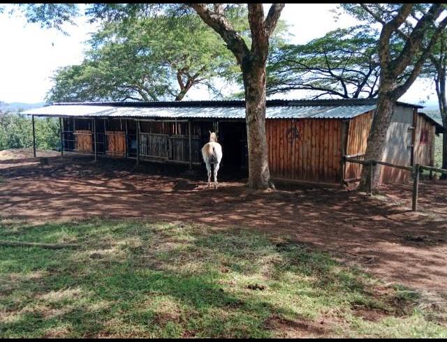 FARM FOR SALE IN LEVUBU